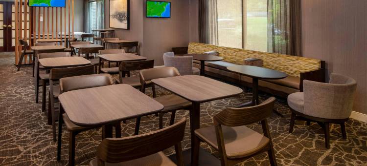 森特维尔尚蒂利SpringHill Suites酒店(SpringHill Suites Centreville Chantilly)图片