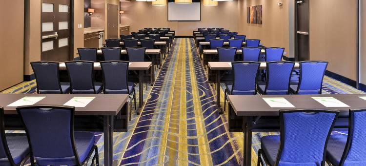罗利卡瑞SpringHill Suites 酒店(SpringHill Suites Raleigh Cary)图片