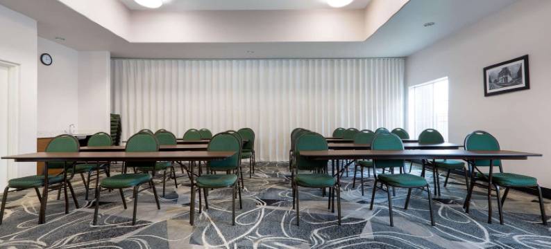 阿尔文拉昆塔温德姆套房酒店(La Quinta Inn & Suites by Wyndham Alvin)图片