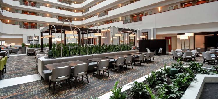 小石城希尔顿安泊酒店(Embassy Suites by Hilton Little Rock)图片