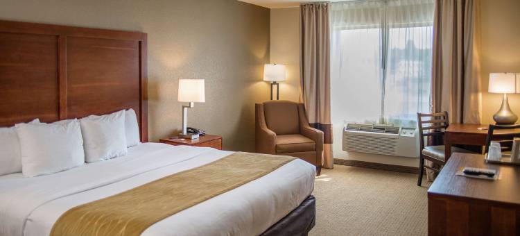 舒适套房酒店(Comfort Inn & Suites)图片