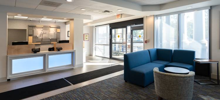 波士顿智选假日酒店(Holiday Inn Express Boston)图片