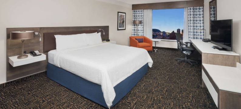 蒙特利尔中心希尔顿花园酒店(Hilton Garden Inn Montreal Centre-Ville)图片