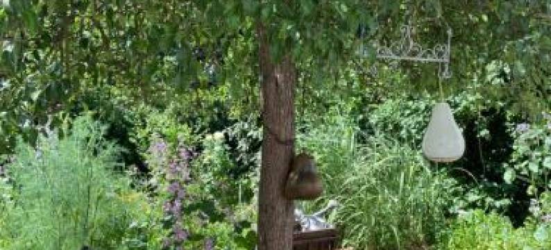 Birnbom Warnemünde图片