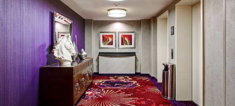 多伦多万锦希尔顿花园酒店(Hilton Garden Inn Toronto/Markham)图片
