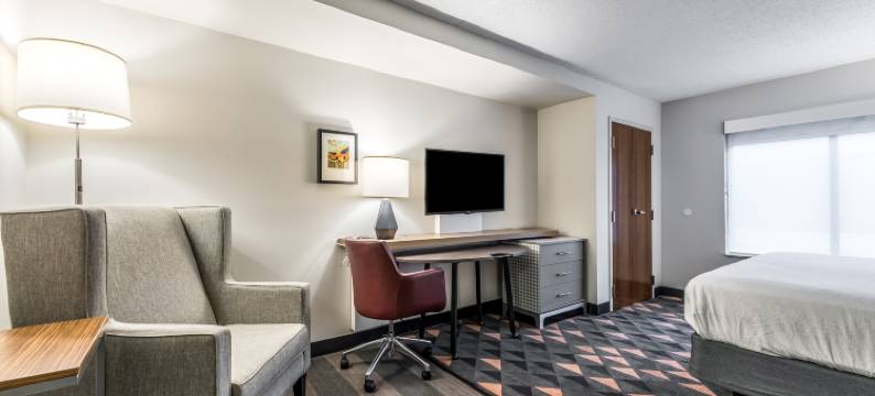 印第安纳波利斯市中心假日酒店(Holiday Inn INDIANAPOLIS DOWNTOWN by IHG)图片