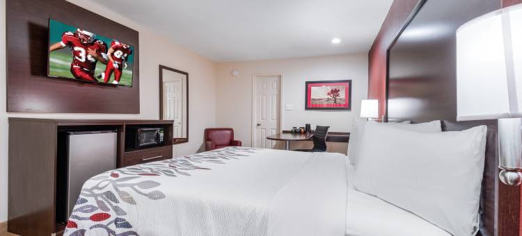 休斯顿-斯普林北红顶酒店(Red Roof Inn Houston - Spring North)图片