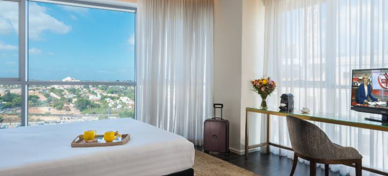 雷霍沃特莱昂纳多精品酒店(Leonardo Boutique Rehovot)图片