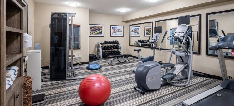 Candlewood Suites 温莎锁布拉德利ARPT(Candlewood Suites Windsor Locks Bradley Arpt)图片