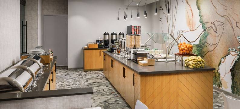 SpringHill套房马里奥特纽约曼哈顿/切尔西(SpringHill Suites New York Manhattan/Chelsea)图片