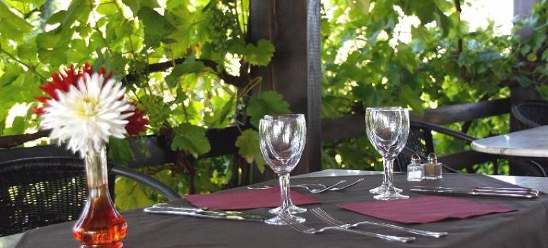 国际之家克雷特(Logis des Crêtes de Pignols)图片