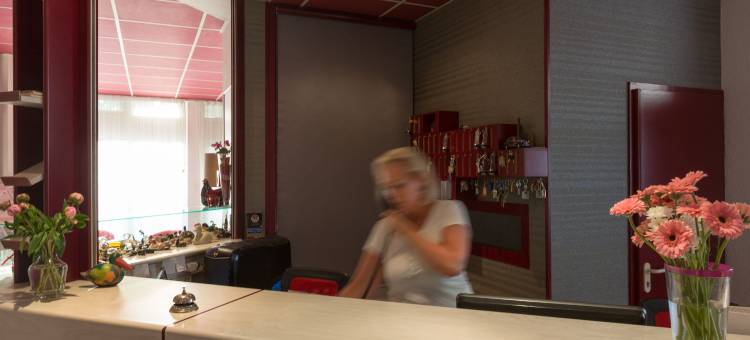 托农莱班彩虹原创城市酒店(Logis Hotel Arc En Ciel)图片