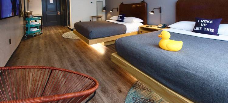 新奥尔良市中心法国区 Moxy 酒店(Moxy New Orleans Downtown/French Quarter Area)图片