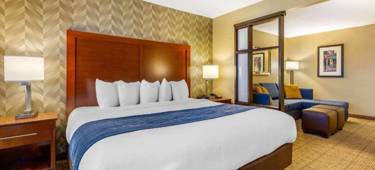 洛根国际机场舒适套房酒店(Comfort Inn & Suites Logan International Airport)图片