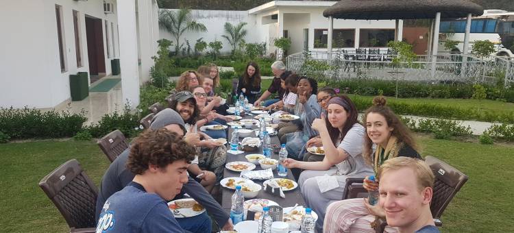 Dtr Jungle Hideaways图片