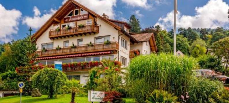 纽恩菲尔斯酒店(Hotel Neuenfels)图片