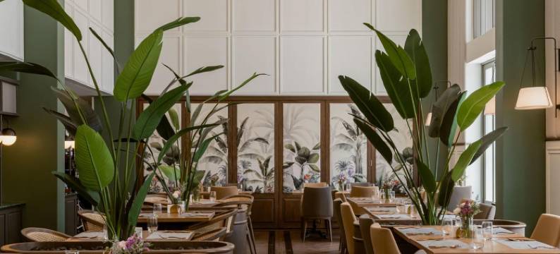 莫科酒店(Hotel Moco)图片