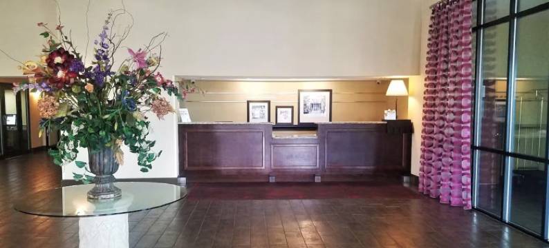 奥兰多棕榈树酒店(Orlando Palms)图片