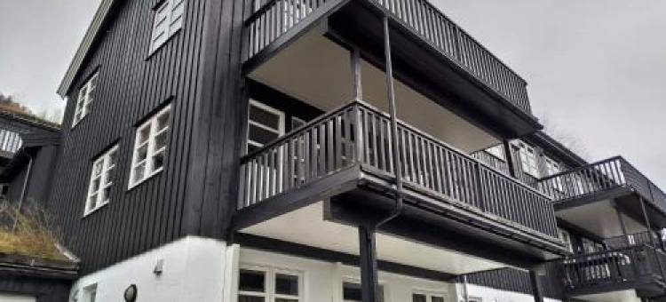 Sinnes Fjellstue Apartment 1F图片