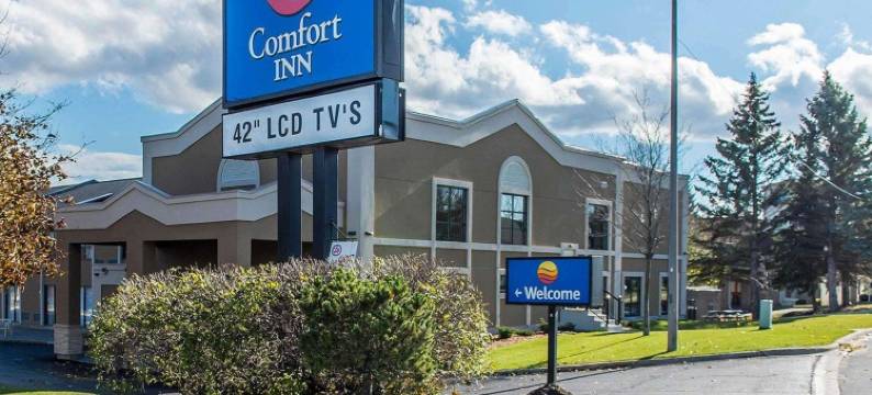 舒适酒店(Comfort Inn)图片