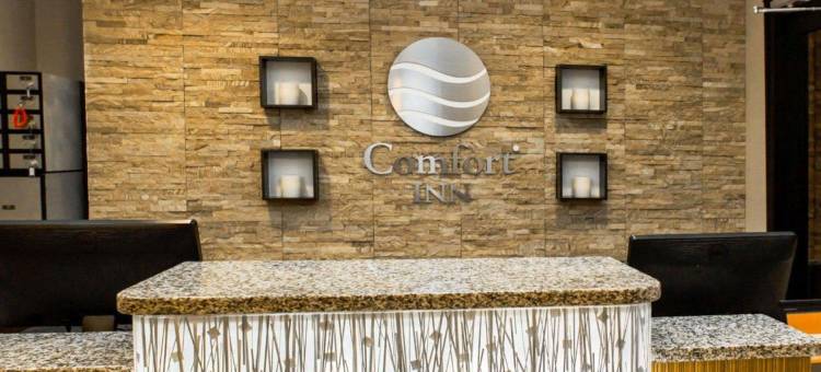 曼哈顿中城西区舒适酒店旅店(Comfort Inn Manhattan - Midtown West)图片