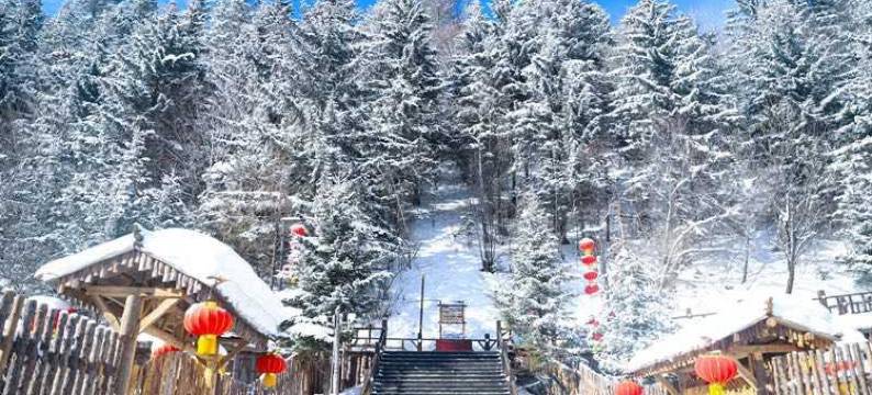 雪乡雪芝龙酒店图片