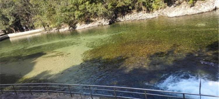 三清山朴子仙居图片