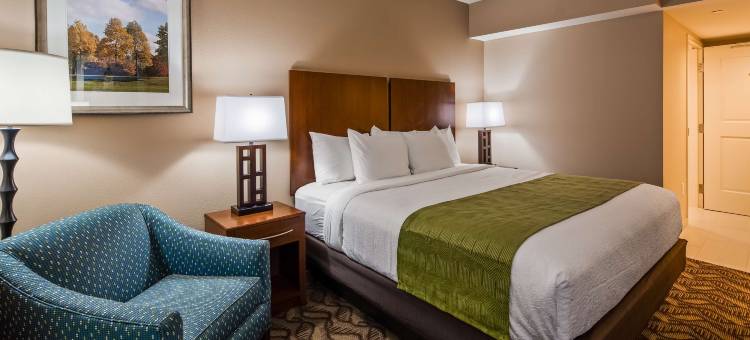 雅典贝斯特韦斯特酒店(Best Western Athens)图片