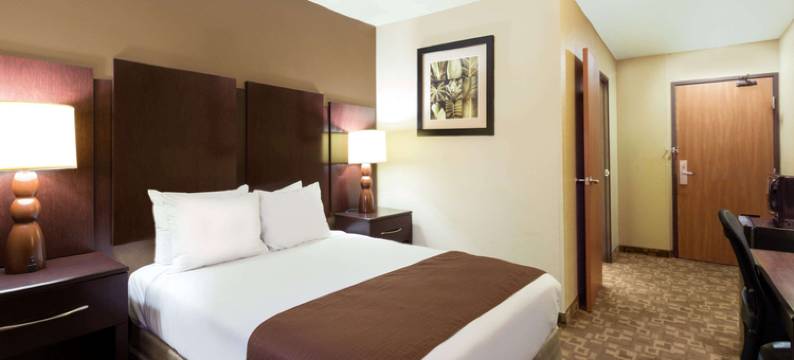 钱德勒-凤凰城速8酒店(Super 8 by Wyndham Chandler Phoenix)图片