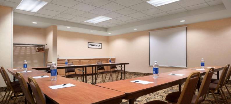 邓迪丽怡酒店(Country Inn & Suites by Radisson, Dundee, MI)图片