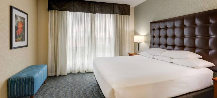 菲尼克斯钱德勒时尚中心德鲁里套房酒店(Drury Inn & Suites Phoenix Chandler Fashion Center)图片
