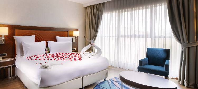 伊斯坦布尔巴克柯伊美居酒店(Mercure Istanbul Bakirkoy)图片