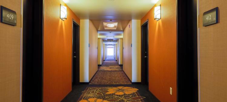 印第安纳IUP希尔顿花园酒店(Hilton Garden Inn Indiana at Iup)图片