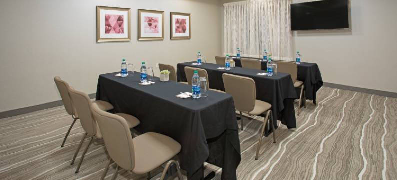 Staybridge套房酒店-拉皮德城拉什莫尔(Staybridge Suites RAPID CITY - RUSHMORE by IHG)图片