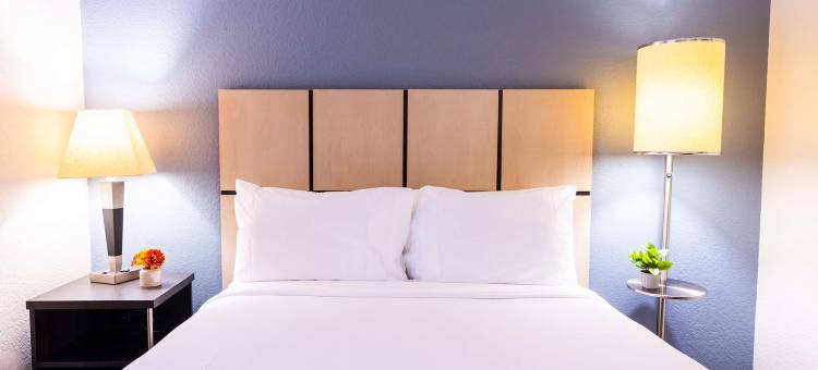 索内斯塔简约套房-兰辛(Sonesta Simply Suites Lansing)图片
