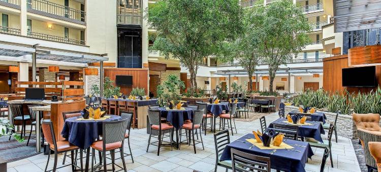 纳什维尔机场希尔顿安泊套房酒店(Embassy Suites by Hilton Nashville Airport)图片