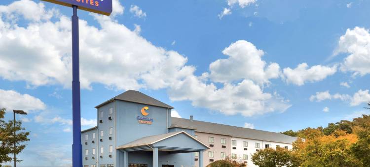 布鲁斯堡舒适套房酒店(Comfort Suites)图片