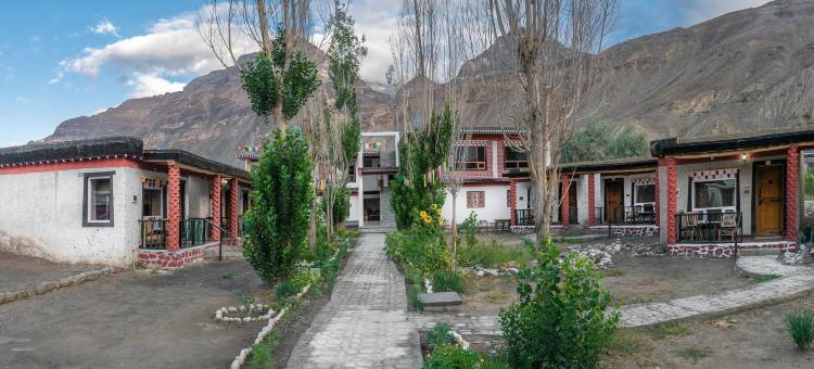 Echor Mud Huts Tabo Spiti山谷(Echor Mud Huts Tabo, Spiti Valley)图片