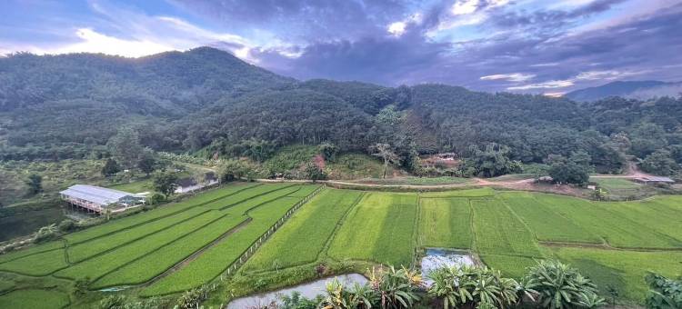 科恩哇特花园度假村(Kornwat Garden Resort)图片