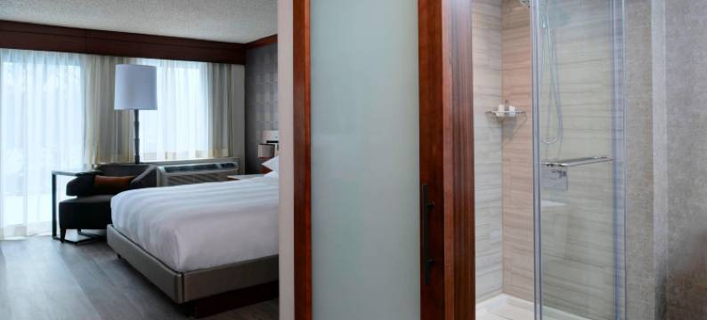 底特律南菲尔德万豪酒店(Detroit Marriott Southfield)图片