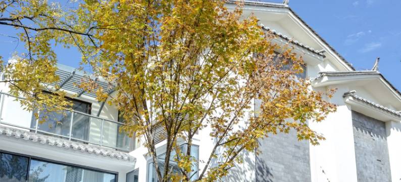 山居秋暝民宿(大理古城店)图片