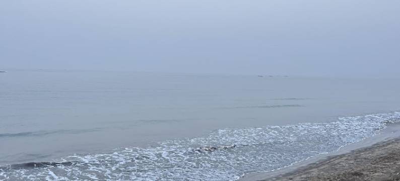 迪维加快乐一天酒店(Happy Days Diveagar)图片