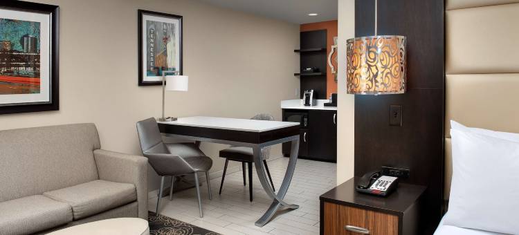 诺克斯维尔西希尔顿安泊酒店(Embassy Suites by Hilton Knoxville West)图片