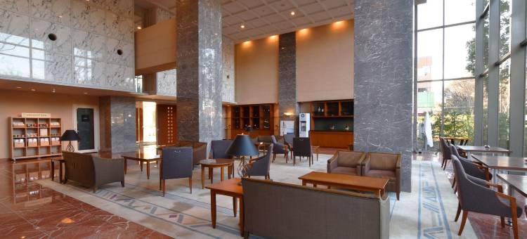 筑波日航都市酒店(Hotel JAL City Tsukuba)图片