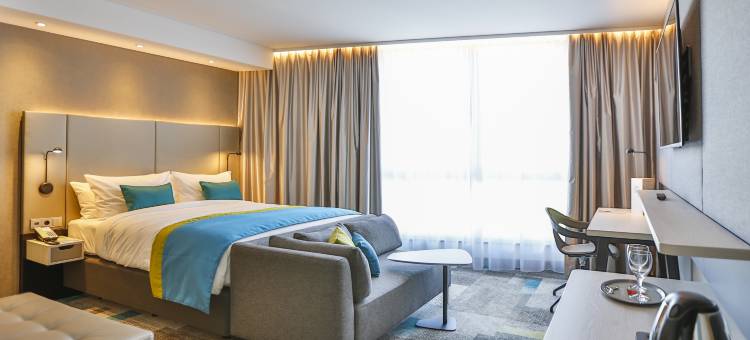 菲林根-施文宁根假日酒店(Holiday Inn VILLINGEN - SCHWENNINGEN by IHG)图片