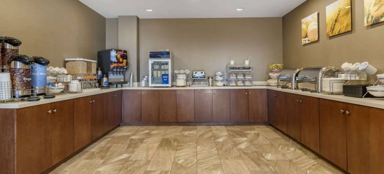 舒适套房酒店-曼海姆兰开斯特(Comfort Suites Manheim - Lancaster)图片