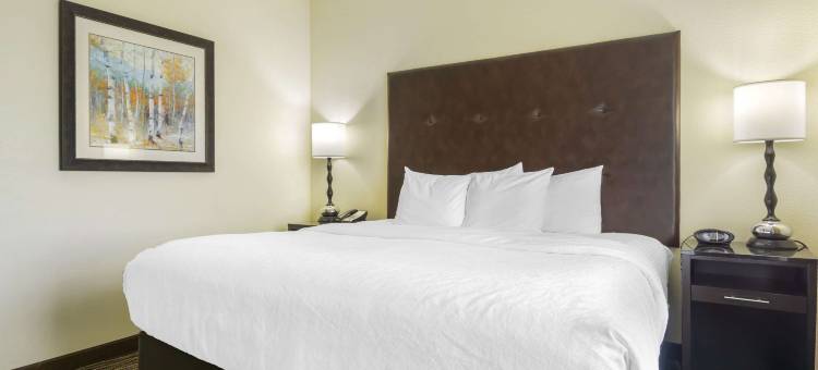 林肯贝斯特韦斯特优质套房酒店(Best Western Plus Ellensburg Hotel)图片