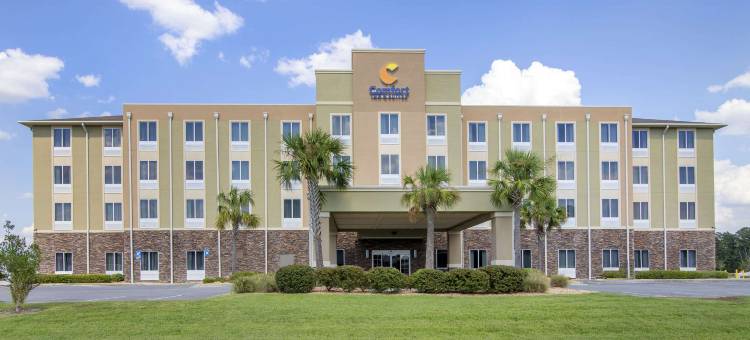 舒适套房酒店(Comfort Inn & Suites Valdosta)图片