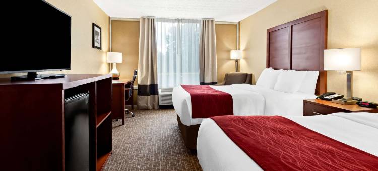 格兰茨维尔舒适酒店-深溪湖(Comfort Inn Grantsville-Deep Creek Lake)图片