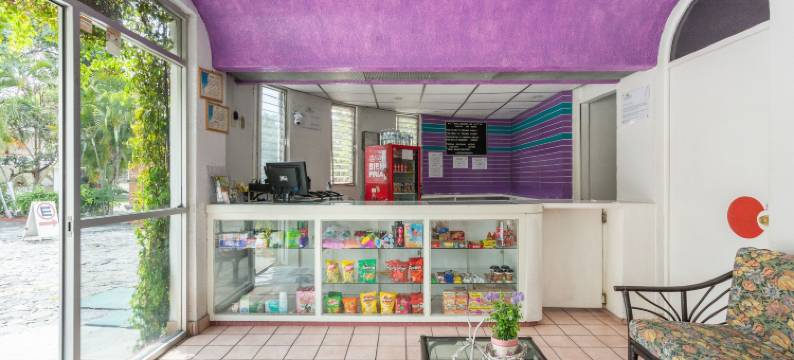 OYO 帕尔马皇家酒店(OYO Hotel Palma Real)图片